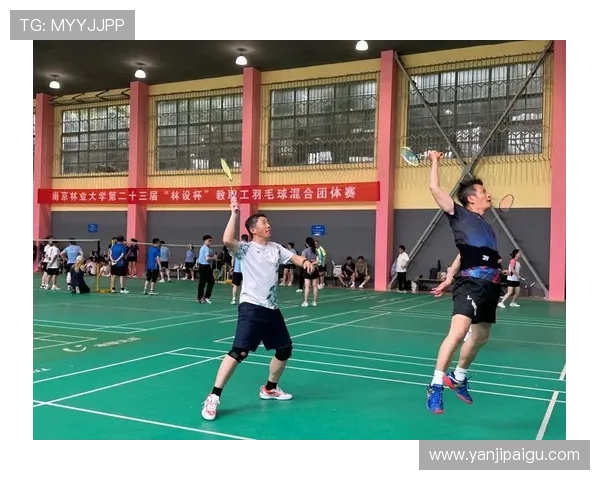 羽毛球盛宴：深入解析南京羽毛球队的比赛策略与经验分享