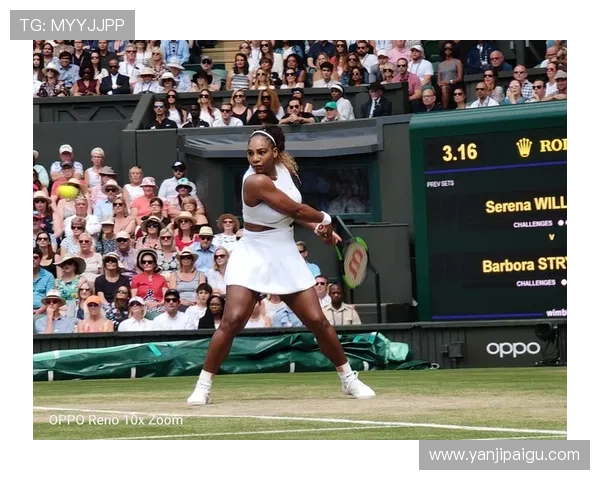 杭州网球队的转型之路：深度解析网球运动的变革与发展