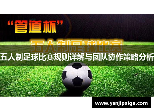 五人制足球比赛规则详解与团队协作策略分析